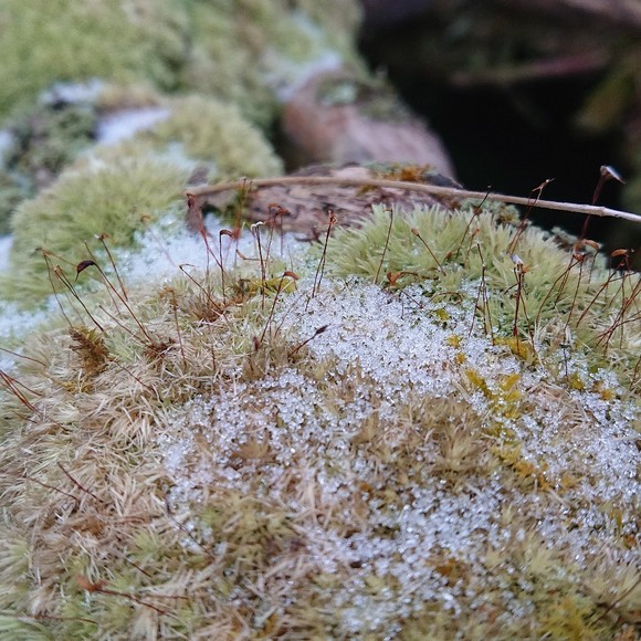 Meet your Posher, Neil - Picture 1 of 1